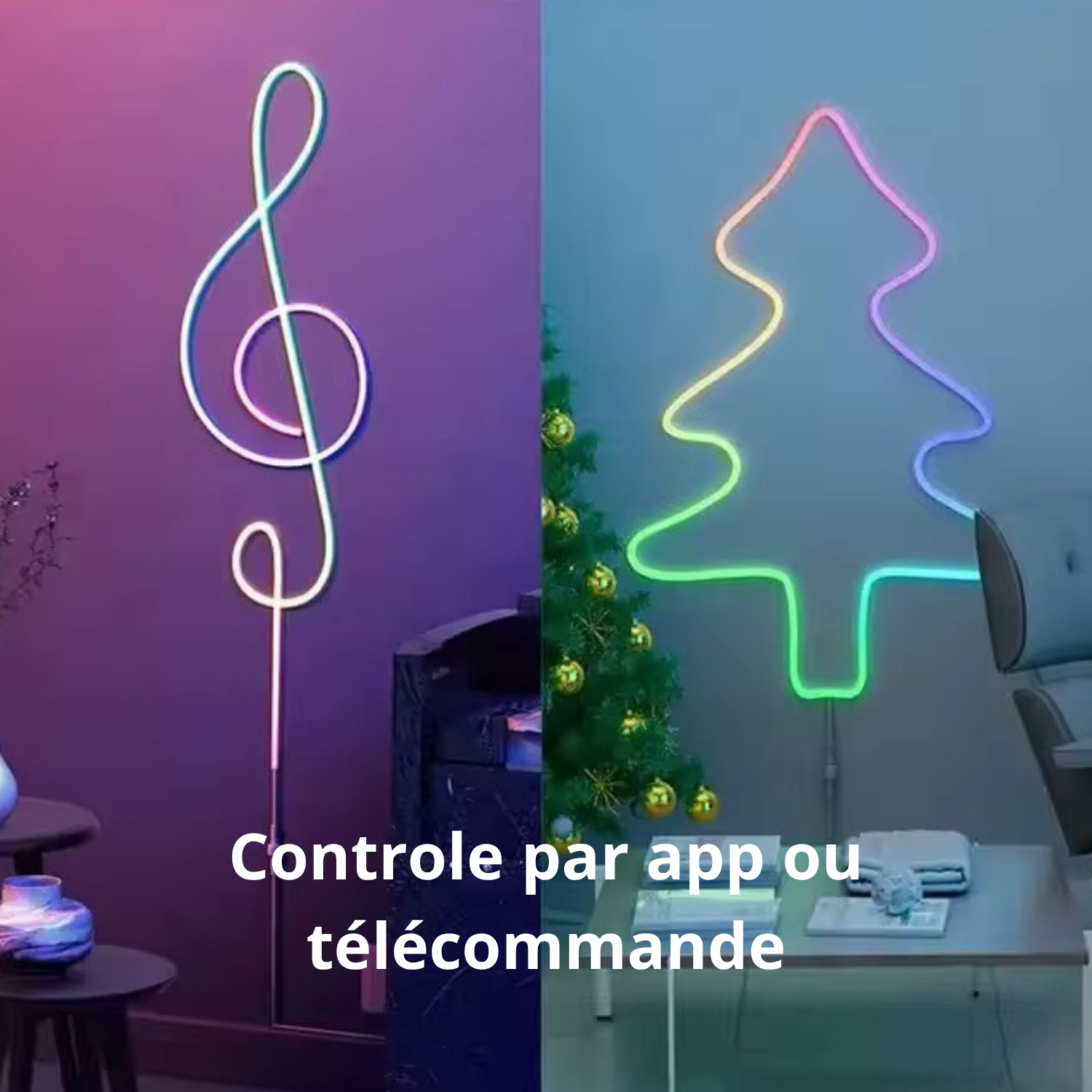 Néon LED de 5M dynamique